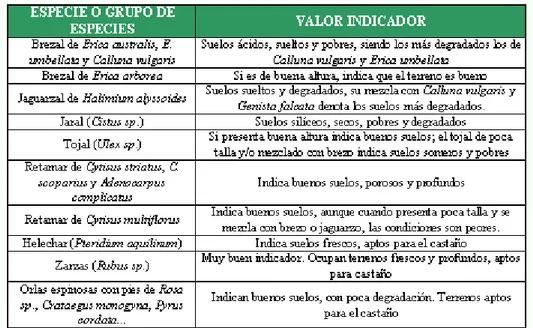 Tabla 3. Grupos de especies habituales en los montes gallegos y valor indicador para la repoblación con castaño.
