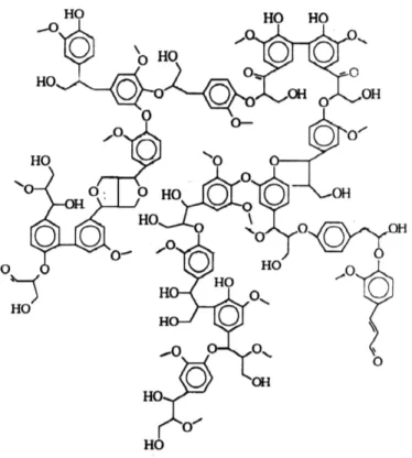 Figura 1.1. Estructura de la lignina de coníferas propuesta por Adler. 3
