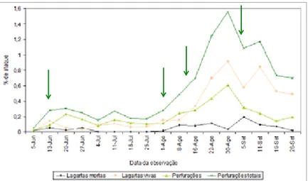 Figura  9.  Evolução  da  percentagem  de  lagartas  e  perfurações  de  bichado  da  fruta,  com  indicação das datas dos tratamentos
