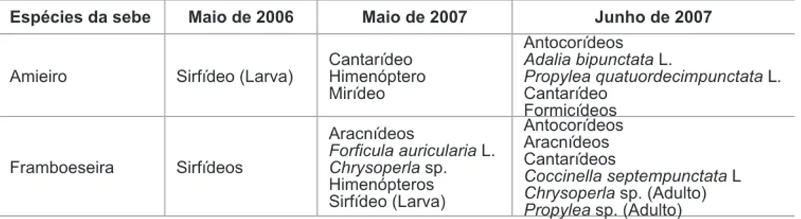 Figura 9. Auxiliares predadores, parasitóides e pragas no amieiro da sebe (2006, 2007).