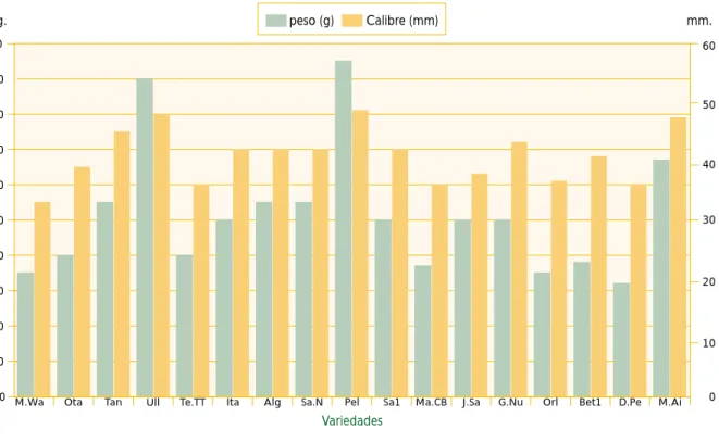 Fig 6a: Peso y calibre