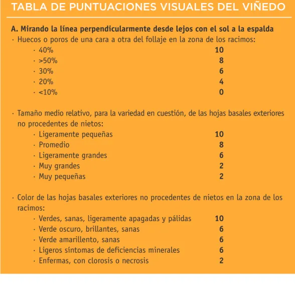 TABLA DE PUNTUACIONES VISUALES DEL VIÑEDO