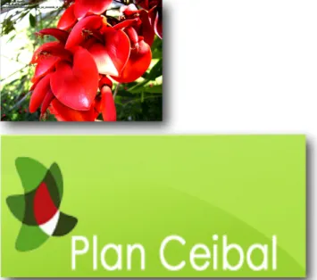 Cuadro 2 : Flor del ceibo e Isologotipo del Plan CEIBAL