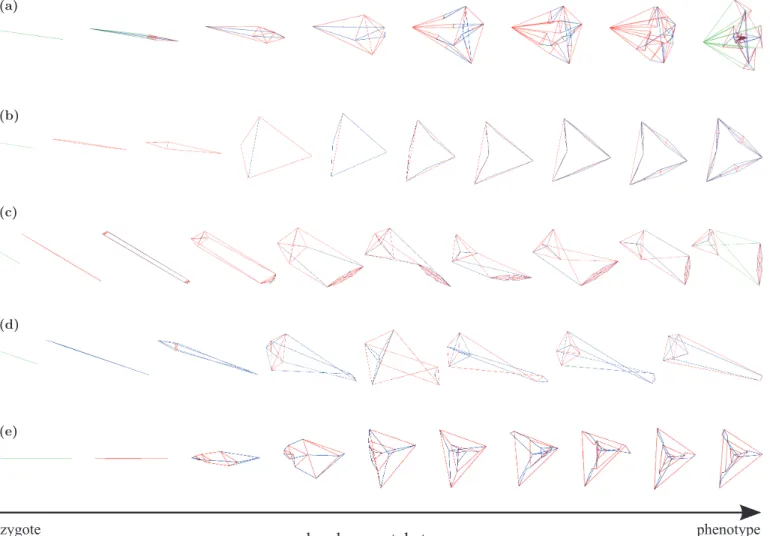 Figure 6: Ontogeny of evolved tensegrity structures using indirect encoding. Each row represents a representative selection of snapshots of the developmental process of a tensegrity structure (same structures that in Fig