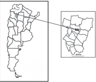 Figura 1. Ubicación geográﬁca de la ciudad de Yerba Buena (Tucumán, Argentina). Geographical location  of the city of Yerba Buena.