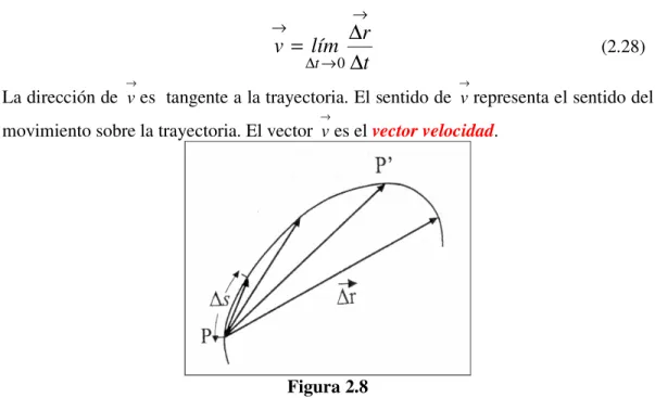 Figura 2.8  El vector 