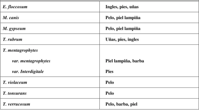 Tabla 8. Dermatofitos y localización preferente de las dermatofitosis 