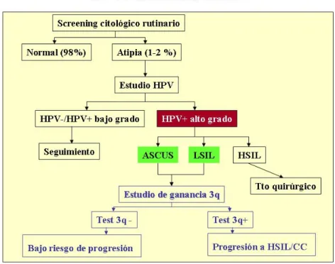 Fig 17.  Estudios de ganancia 3q 