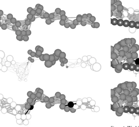 Figure 4: Working cycle of a molecular motor template. To show it clearly, the motor has just one motor head: a catalytic core (ATP and binding links in black) and the corresponding docking site (white)