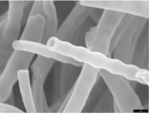 Figura 1.7. Fibra perlada de exterior de lignina e interior de aceite electrohilada  mediante electrospinning coaxial