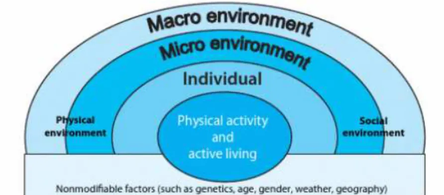 Figura 4 tomada de (Sallis et al., 1998) 