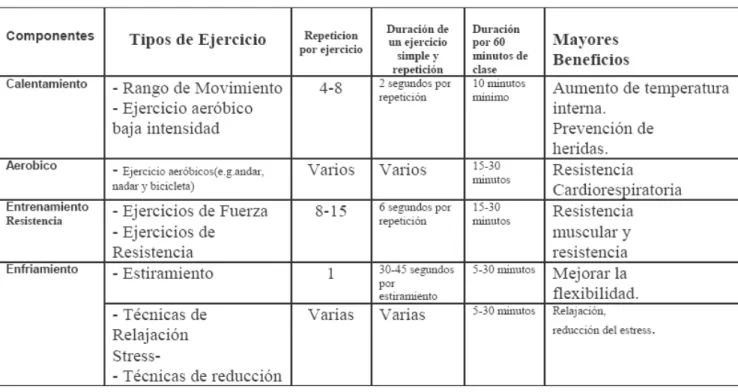 Tabla 5.1: Componentes del programa de ejercicios tomado de (Giné-Garriga M et al.,  2009) modificado