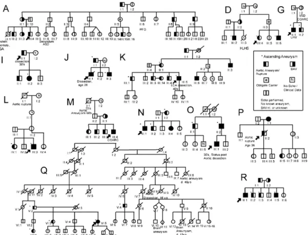 Figura 11: tomada de Loscalzo et al. 28