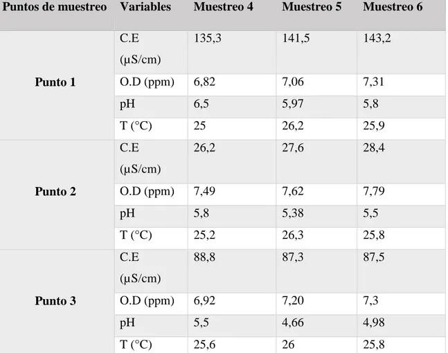 Tabla 8. Resultados de los parámetros In Situ en temporada baja 