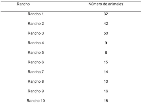 Figura 1. Distribución de número de animales en cada rancho. 