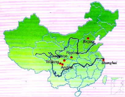 Imagen 3. Mapa de la ruta del panda en China.   