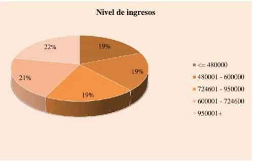 Figura 14. Nivel de ingreso de los jóvenes en 2013 