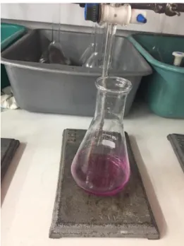 Figura  16. Prueba de acidez de la muestra en laboratorio. Elaboración propia.