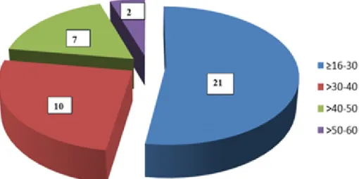 Figura 1. Distribución según los grupos etarios 