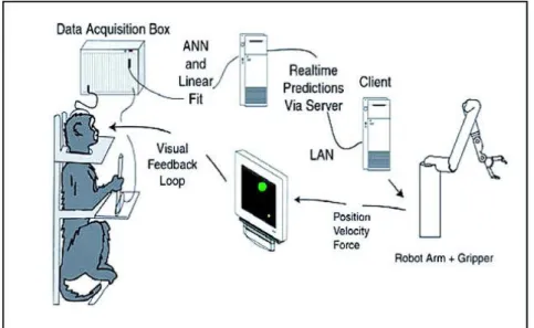 Figura 3-2. Experimento de Carmena et al., 2003. 