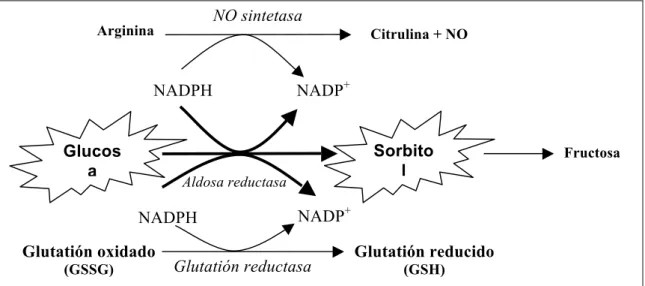 Figura 1.2. Competición de las diversas reacciones por el NADPH. 