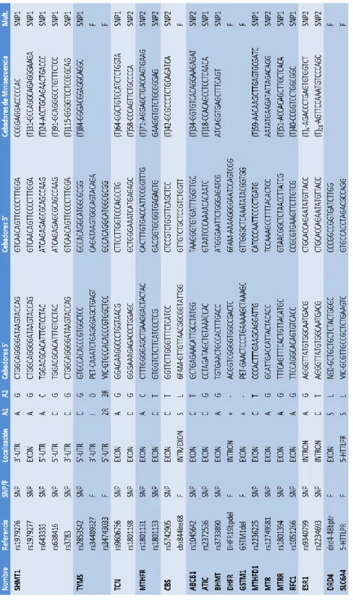 Tabla 4: Información de los polimorfismos incluidos en el estudio.  F = Fragmento; A1 = Alelo 1; A2 = Alelo 2; Mult