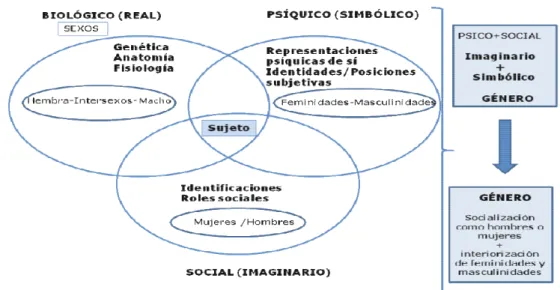 Figura 1. Sistema sujeto-sexo-género (Velasco, 2009) 