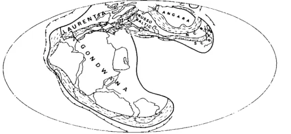 Fig 1.- Distribución de los continentes y cinturones Paleozoicos durante el Pérmico. N.C.B
