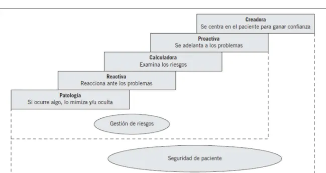 Gráfico 3: gestión de la cultura de seguridad del paciente (Aranaz JM 2009) 
