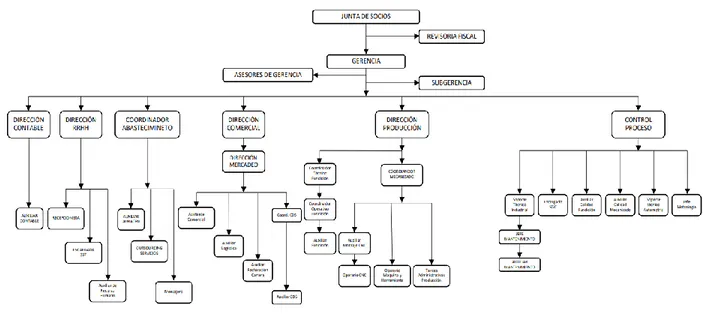 Figura 1. Organigrama de Industrias Lavco SA.S. 
