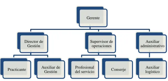 Figura 15   Organigrama Next Services S.A.S.  