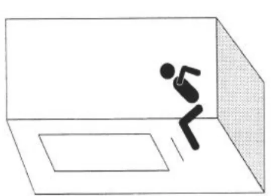 Figura 5. Salto horizontal. 