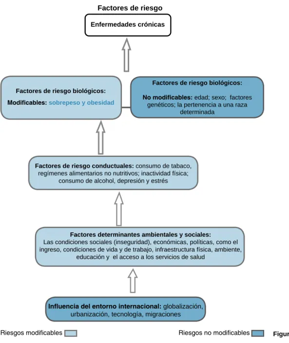 Figura 1. Factores de riesgo.