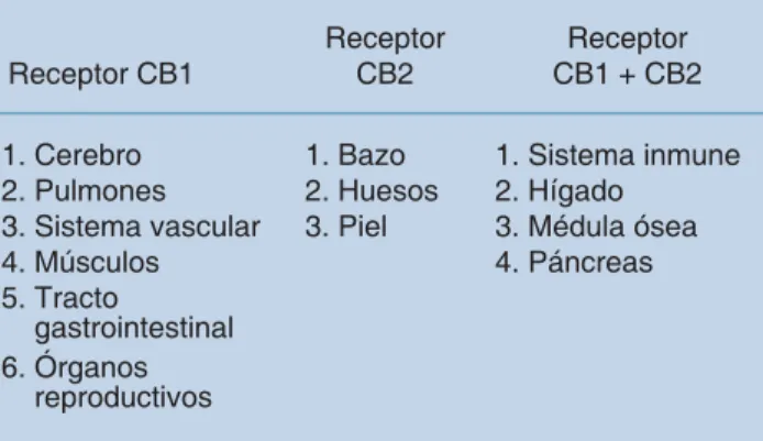 Cuadro I. Localización de los receptores 