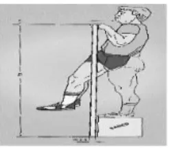 Figura 8. Test flexión mantenida de brazos. 