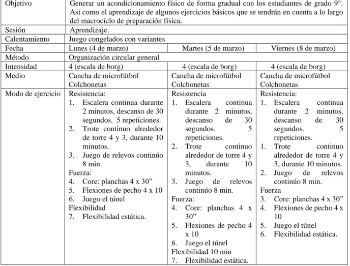 Tabla 5.   Microciclo1. 