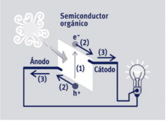 Fig. 2. Funcionamiento básico de una celda solar orgánica. 