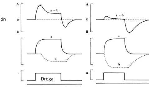 Figura 5. Escala hedónica 