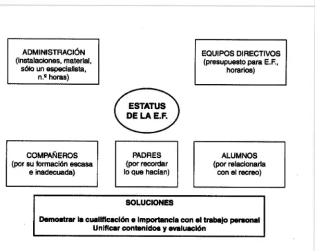 Gráfico  2.  Conclusiones sobre el estatus  de la  E.F. 