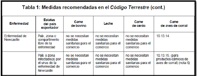Cuadro 4. Medidas recomendadas en el código terrestre 
