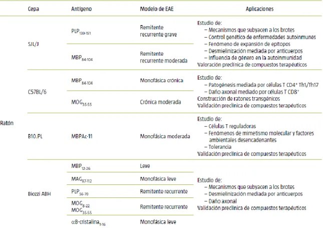 Tabla 1. Variabilidad de  modelos de EAE en ratón. Curso clínico y sus aplicaciones. 