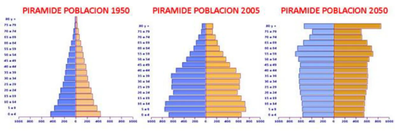 Figura 1: Proyección Pirámide Poblacional 