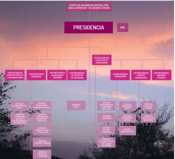Figura 3. Carbones del Cerrejón  (2013). Organigrama General 