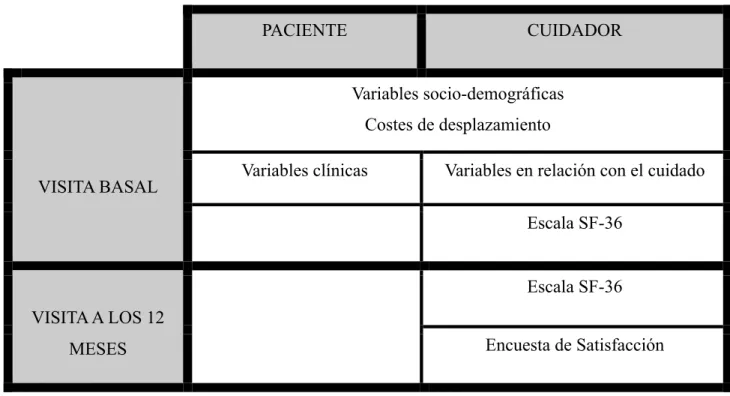 Tabla 11: Variables estudiadas en cada visita 