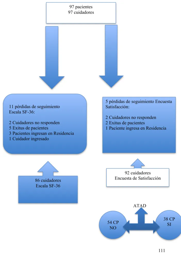 Figura 6: Flujo de pacientes y cuidadores    