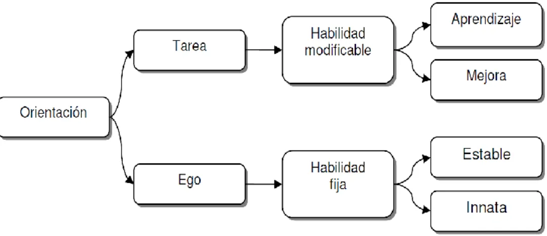 Fig. 3: Metas y habilidad a partir de Jiménez, 2004. 