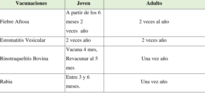 Tabla 10 ciclo de vacunación 