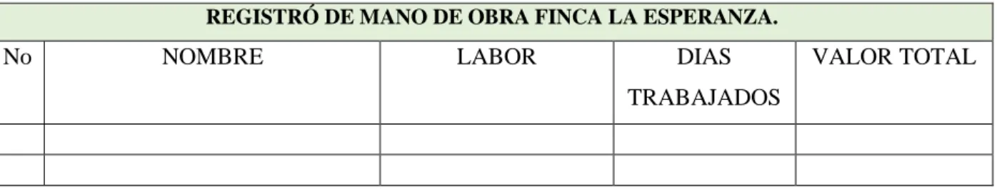 Tabla 14 Registro Mano de Obra 