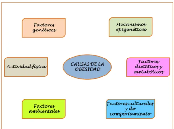 Figura 1: Causas de la obesidad. 