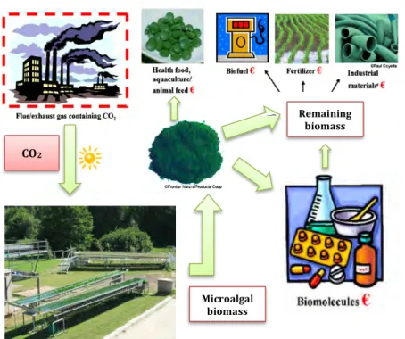 Figure 1.1 Microalgae biorefinery. Adapted from Skjånes et al. (2007)